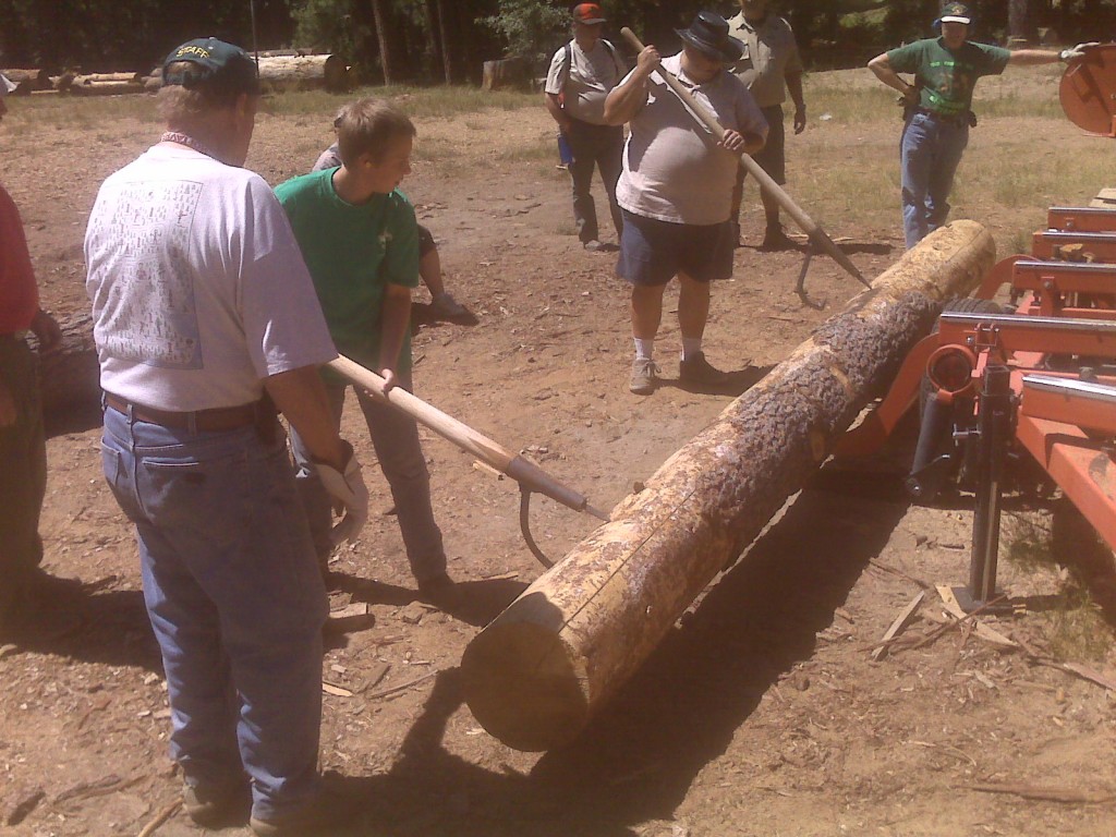 Feeding the sawmill