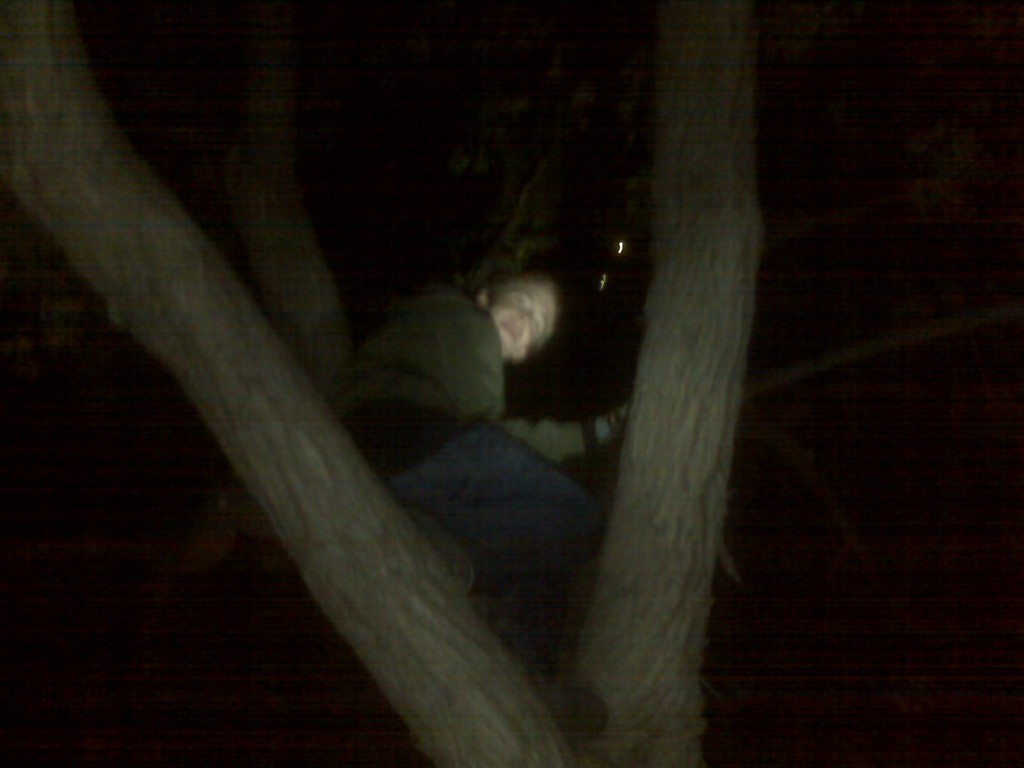 Eric up a tree being watched by Racoons