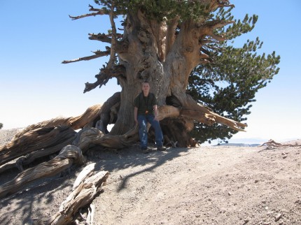 Jacob and the 1,500 year old tree