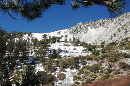 Mt Baldy Trail