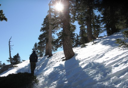 Mt. Baldy Trail with snow