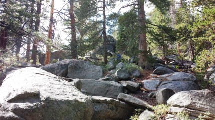 Jacob hiking behind camp