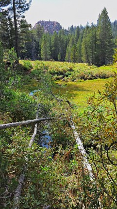 Redrock Meadows and Indian Head