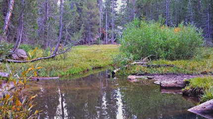 Lost Trout Creek trail crossing