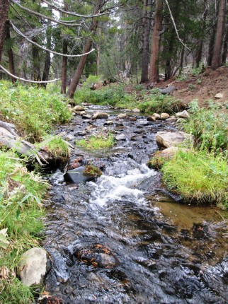 Long Canyon Creek at split of Red Rock Trail and Long Canyon Trail