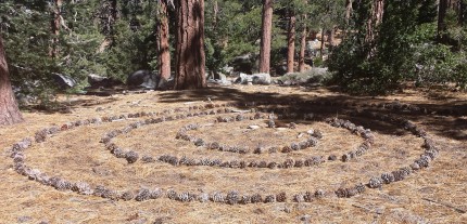 Pine Cone Swirl